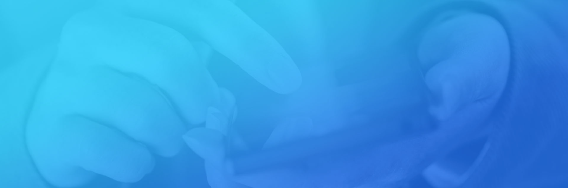 一网天行-网站建设|微信开发|小程序开发