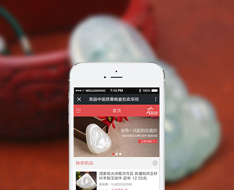 美丽中国-微信拍卖平台|一网天行-网站建设小程序APP系统软件开发公司