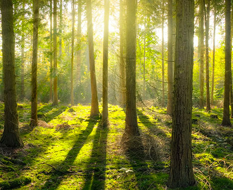爱的天使-空气净化器电商平台|一网天行-网站建设小程序APP系统软件开发公司